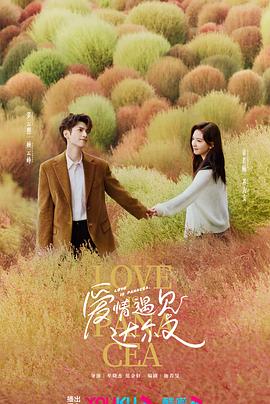 顶点视频海报剧照